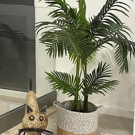 Queen - - Lourinha فيلة *